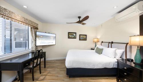 Standard King Room