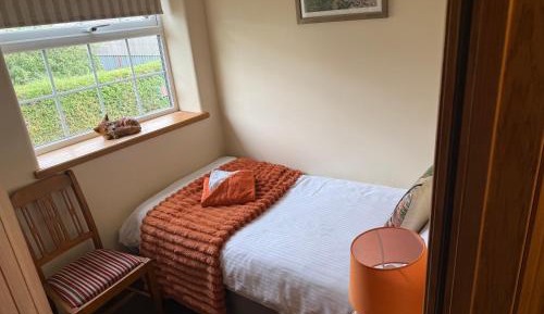 Large Single Room