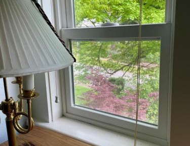 Deluxe Queen Suite