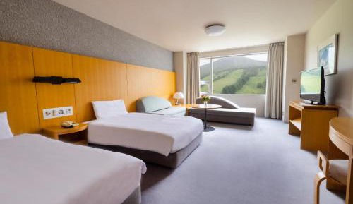Premium Room
