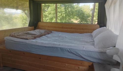 Double Room (1 Adult + 1 Child)
