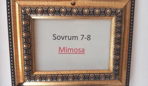 Family Junior Suite