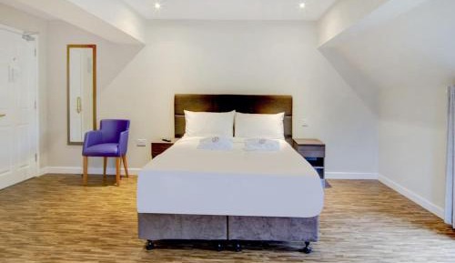 One-Bedroom Hotel 