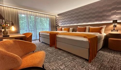 Superior Double or Twin Room