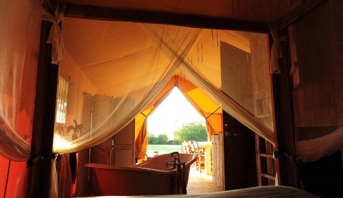 Tent Safari