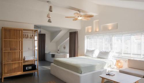 Penthouse Apartment