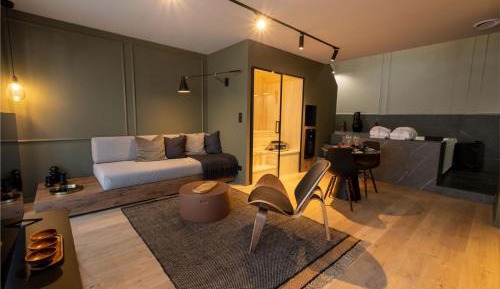 Deluxe One-Bedroom Apartment
