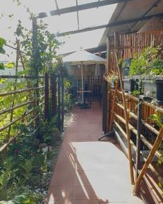Studio with Garden View