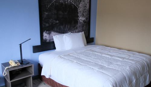 Single Room with Private Bathroom