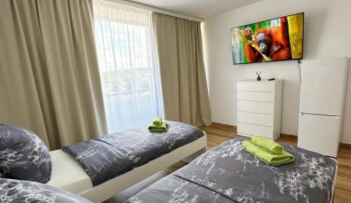 Two-Bedroom Apartment with Balcony