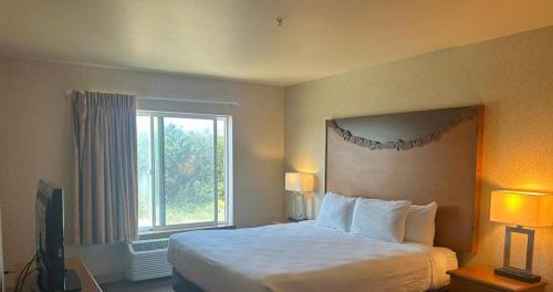 Double Room with Sea View
