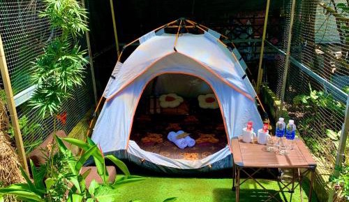 Tent