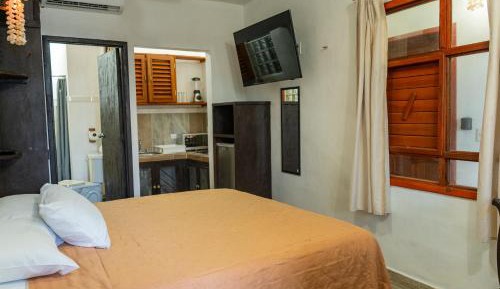 Deluxe King Studio