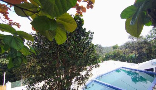 Villa with Garden View