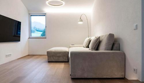 One-Bedroom Apartment with Shower