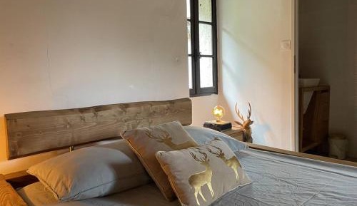 Two-Bedroom Standard Apartment
