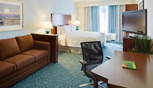 King Room with Sofa Bed and Roll-in Shower - Mobility and Hearing Accessible