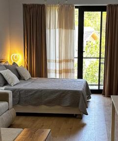 One-Bedroom Apartment with Balcony and Mountain View  