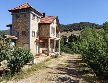 Two-Bedroom Apartment with Garden View