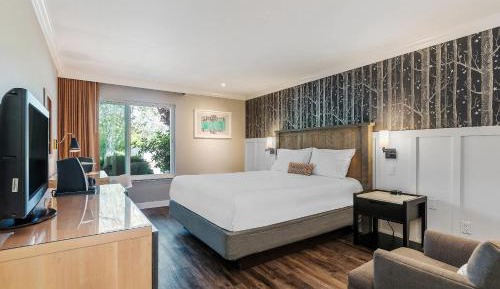 King Room - Non-Smoking
