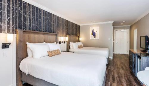 Standard Queen Room with Two Queen Beds - Non-Smoking