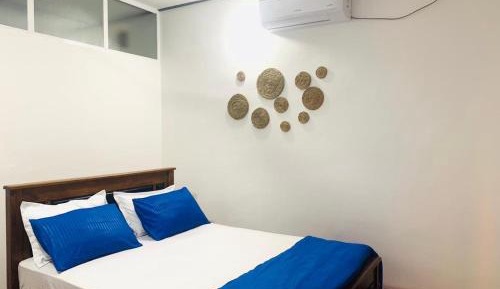 Deluxe Double Room with Shower