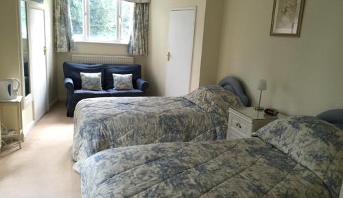 Deluxe Twin Room