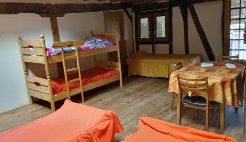 Single Bed in Mixed Dormitory Room