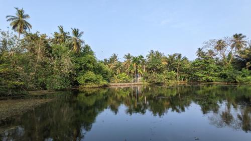 Double Room with Lake View