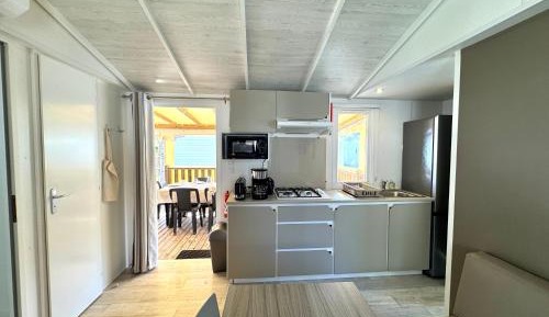Mobile Home