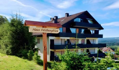 Superior One-Bedroom Apartment with Balcony