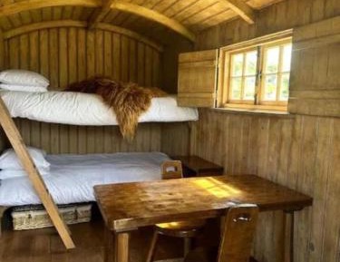 Shepherds Hut - Glamping