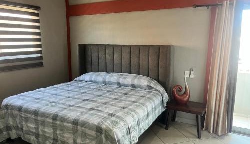 Deluxe One-Bedroom Apartment