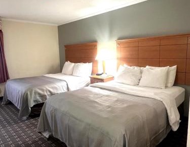 Queen Room with Two Queen Beds - Non-Smoking