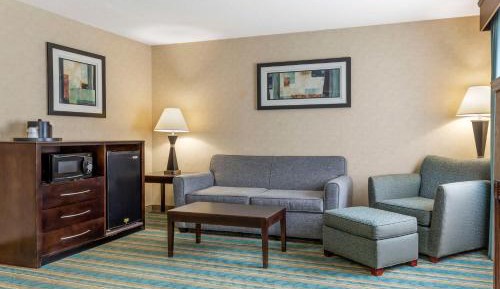 One-Bedroom King Suite with Double Bed and Sofa Bed - Fireplace/Non-Smoking