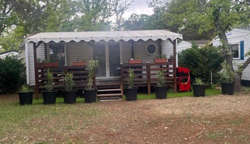 Mobile Home