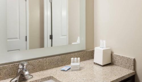 King Studio Room with Sofa Bed and Roll-In Shower - Mobility/Hearing Accessible