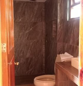Single Bed in Mixed Dormitory Room