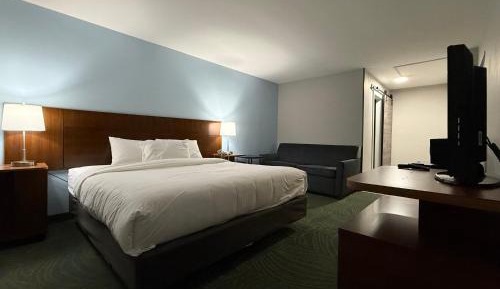 Standard King Room