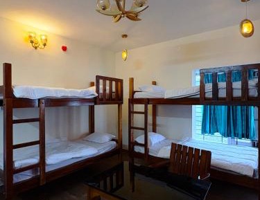 Bed in 6-Bed Dormitory Room