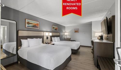Double Room with Two Double Beds