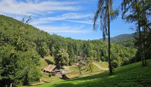 Chalet