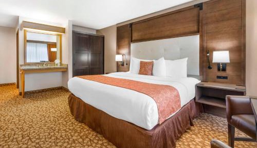 King Room with Walk-in Shower - Disability Access