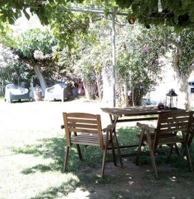 Studio with Garden View