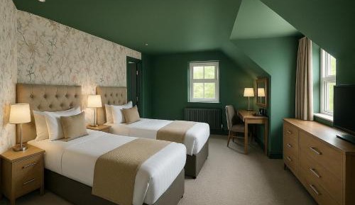 Superior Double or Twin Room