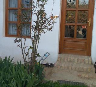 One-Bedroom Apartment with Garden
