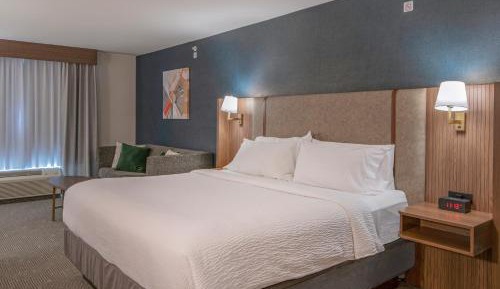 Standard King Room with Sofa Bed - Non-Smoking