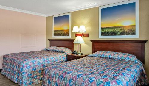 Large Double or Twin Room