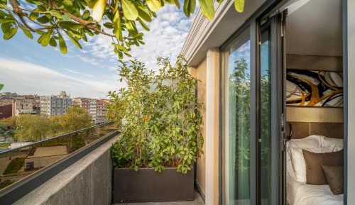 Studio with Terrace