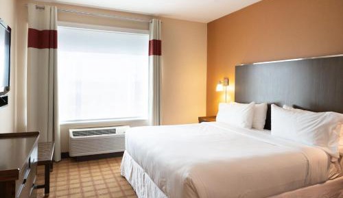 1 Bedroom Suite, King, Sofa bed